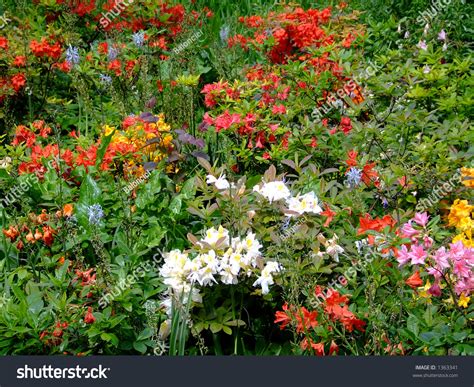 You can download free flower png images with transparent backgrounds from the largest collection on pngtree. A Lot Of Different Flowers In Multi Color Stock Photo ...