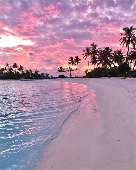 Pink Beach Sunset Hd Wallpapers Top Free Pink Beach Sunset Hd