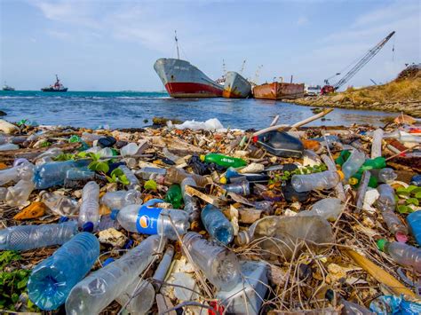 Plastic Pollution Coastal Shutterstock Green Queen