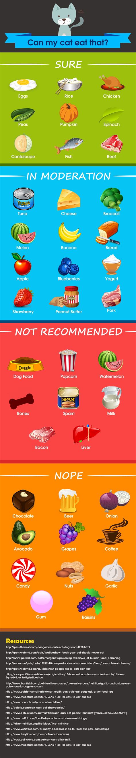 Can My Cat Eat That? (A look At 40 human foods ...