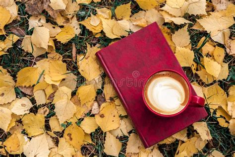 Autumn Composition Cup Of Coffee Dried Leaves Light Background Stock