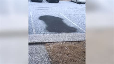 Hoa Threatens Resident With Fine After Car Leaves Unusual Shape In Snow