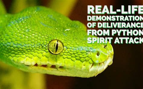 Real Life Demonstration Of Deliverance From A Python Spirit Attack Awakening Magazine