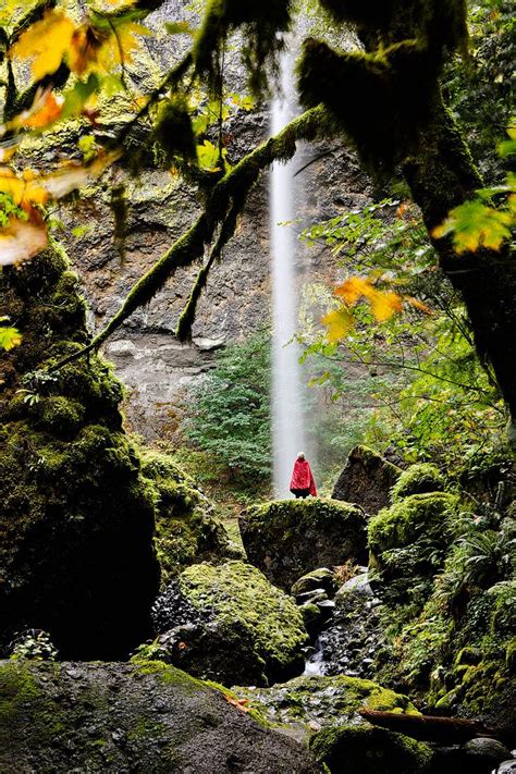 Elowah Falls Hike In Oregon Oregon Hikes Oregon