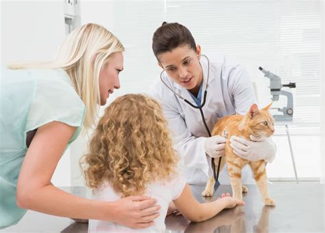 Gentlecare pet hospital exists to help people take care of their pets and make their lives happier and better through it. Pet Annual Wellness (PAW) Plans | Hendricks Veterinary ...