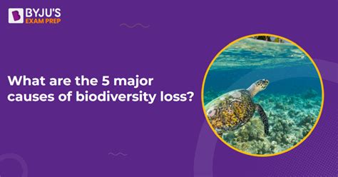 What Are The 5 Major Causes Of Biodiversity Loss