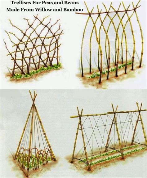 Diy Trellis Ideas For Beans Peas And How Theyre Different