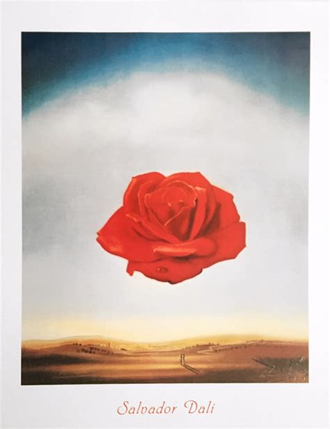 Salvador Dali Rose Meditative Poster Kunstdruck Bei Germanpostersde