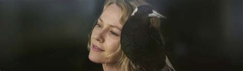 A family takes in an injured magpie that makes a profound difference in their lives. TIFF 2020: Penguin Bloom Review - That Shelf