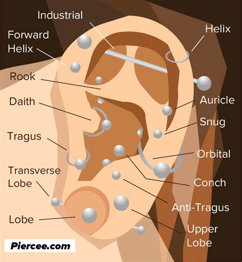 Ear Piercings And Name