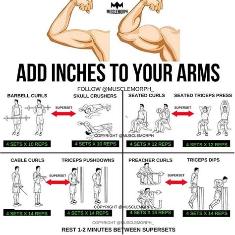 Add Inches To Your Arms With This Superset Workout 👆🏻likesave It If
