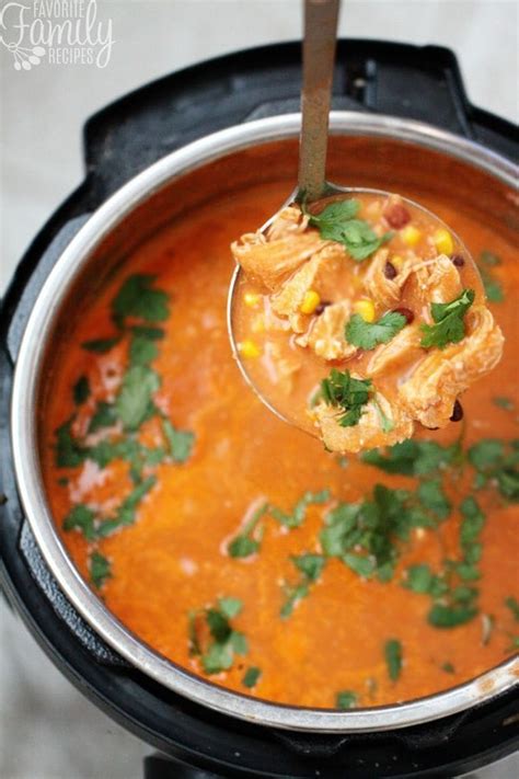 Feel like having enchiladas tonight but don't want to fuss around with the stuffing and baking? Instant Pot Chicken Enchilada Soup | Favorite Family Recipes