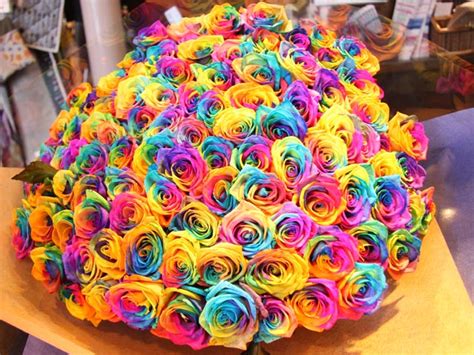 Saying no will not stop you from seeing etsy ads or impact etsy's own personalization technologies, but it may make the ads you see less relevant or more repetitive. How to make rainbow roses: a step-by-step guide ~ LGBT News