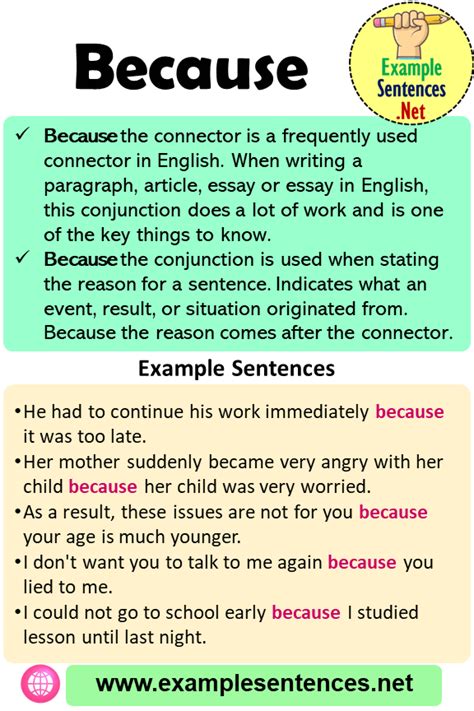 Because In A Sentence Definition And Example Sentences Example