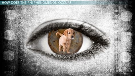 Maybe you would like to learn more about one of these? The Phi Phenomenon: Definition & Example - General ...