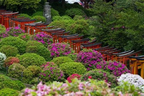 Japanese Garden Plants Awesome Japanese Garden Design Ideas