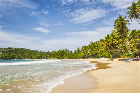 Thrills Of Exotic Sri Lanka Holidays Great Travel Pictures
