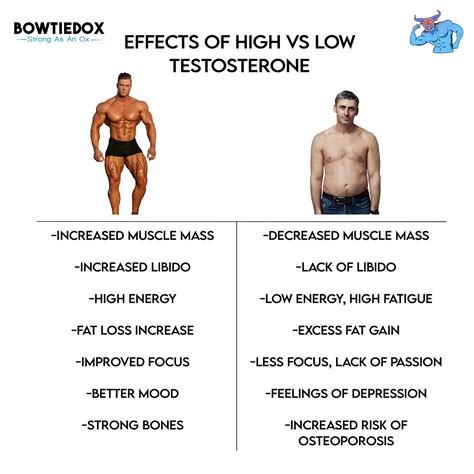 How To Naturally Boost Your Testosterone Levels