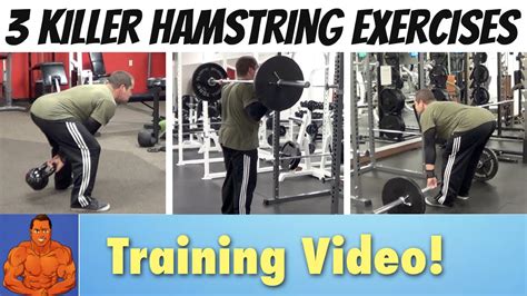 4 hamstring exercises that strengthen your muscles and improve alignment. 3 Killer Hamstring Exercises for Size & Strength - YouTube