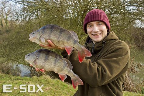 brace of great ouse perch drennan international