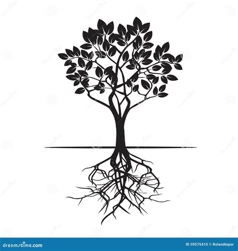Tree And Roots Vector Illustration Stock Illustration Illustration