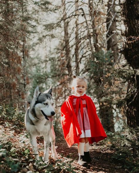Maybe you would like to learn more about one of these? Little Red Riding Hood and the Big Bad Wolf! Loved this DIY costume from 2017 and our husky ...