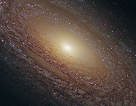 Spiral Galaxy Ngc 2841 Hubble Space Telescope Reveals A Ma Flickr