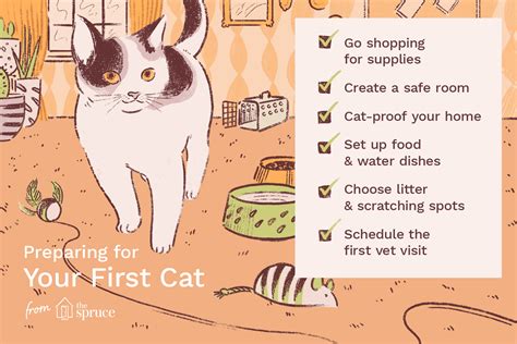 What To Know About Raising Your First Cat