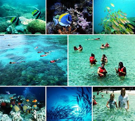 Measuring 2km long and 1/4 km wide, pulau payar is the most. Pulau Langkawi: The Most Popular Activities To Explore ...
