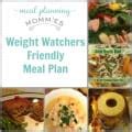 Free Weight Watcher Friendly Meal Plan And Grocery List 1 Meal