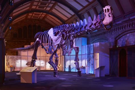 Meet The Titanosaur Dinosaur Giant Goes On Display In Europe For The
