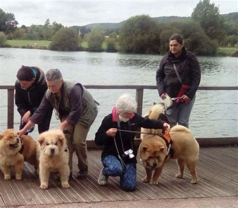 Acquiny Chow Au Coeur