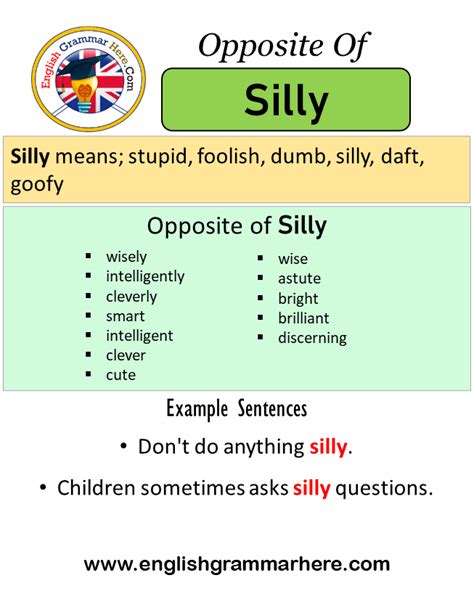 Opposite Of Silly Antonyms Of Silly Meaning And Example Sentences
