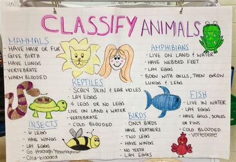 Classifying Animals Anchor Chart Anchor Charts Pets Preschool Theme