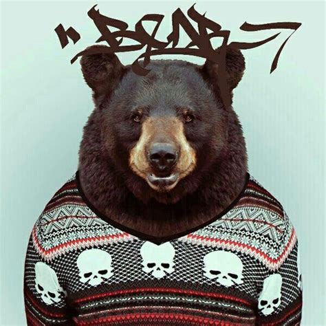 Bear Graffiti Pet Portraits Animals Zoo Animals