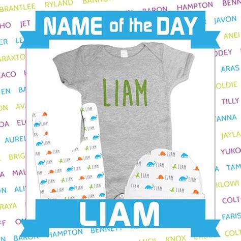 Know Any Liams It Means Strong Willed Warrior Psychobaby Cool