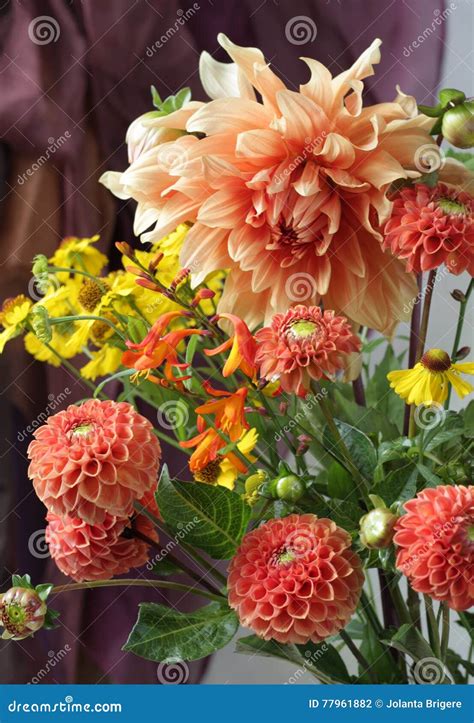 Dahlia Bouquet Stock Photo Image Of Foliage Blossom 77961882
