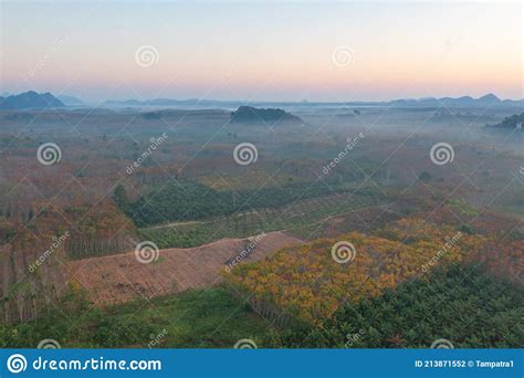 Aerial Top View Of Forest Trees With Fog Mist And Green Mountain Hill