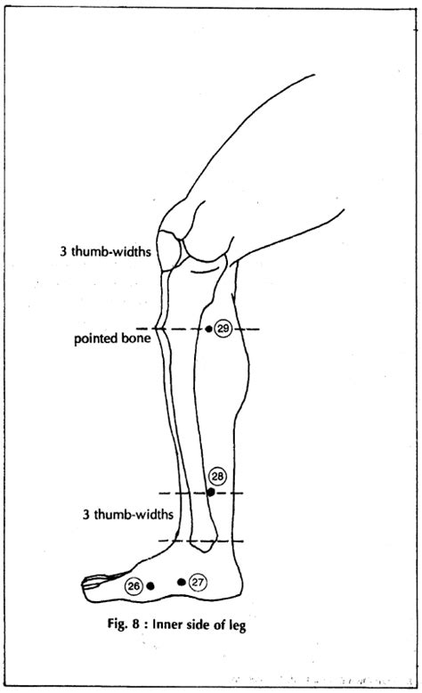 Acupressure Points For Kidney Disorders Learn Self Healing Techniques