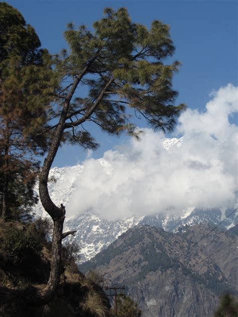 Free for commercial use no attribution required high quality images. Naddi View Point, Dharamshala - India Travel Forum ...