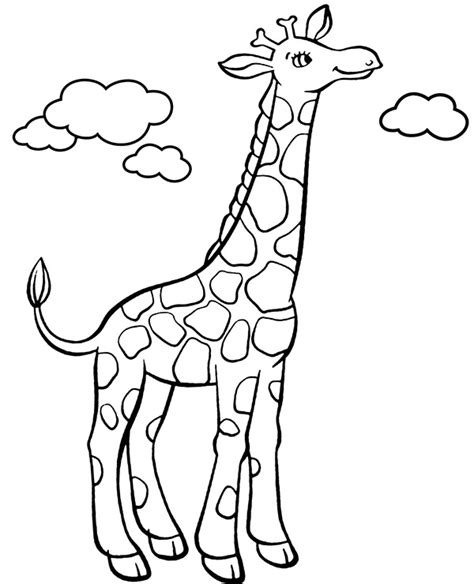 Kolorowanki Zwierzęta żyrafa Sl