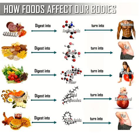 Balanced Diet Bodybuilding And Fitness Zone