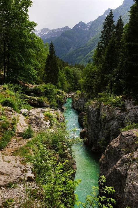 Velika Korita Or Great Canyon Of Soca River Bovec Slovenia Stock