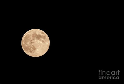 Harvest Moon Photograph By Dale Powell Fine Art America