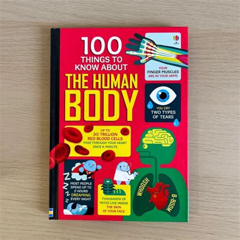 100 Things To Know About The Human Body By Alex Frith English