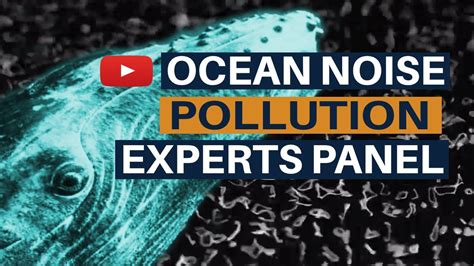 Why Is Ocean Noise Considered Pollution Expert Live Panel Youtube