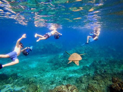 Maui Hawaii Tours Discount Specials Snorkel Maui On A Sea Scooter