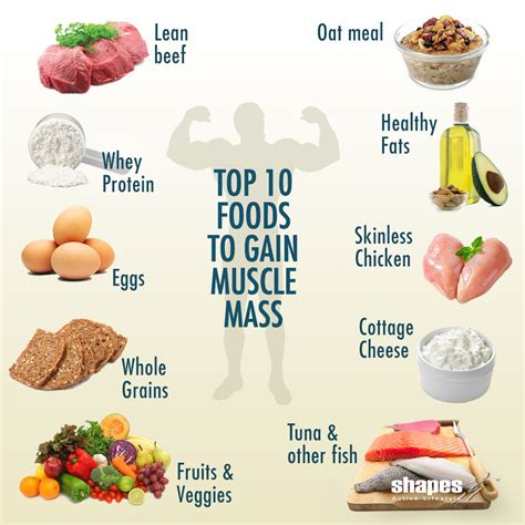 Top 10 foods to gain Muscle Mass! | Food to gain muscle ...