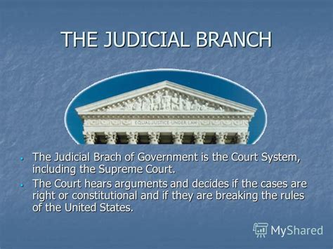 2 2 The Branches Of Government Criminal Law Gambaran