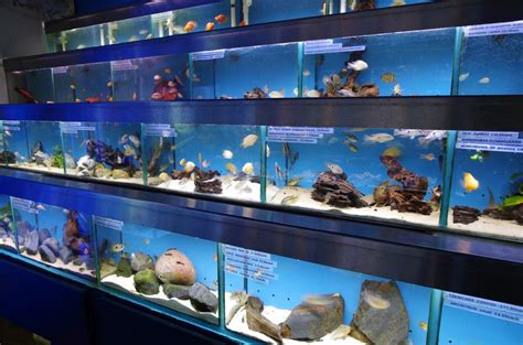 ��ordered a bunch of items. Visit our London shop for Aquariums / Fish Tanks, Marine ...